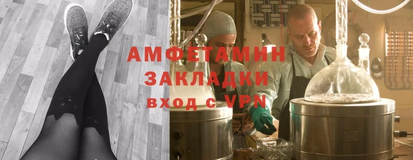 сатива Волоколамск