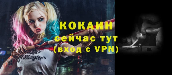сатива Волоколамск