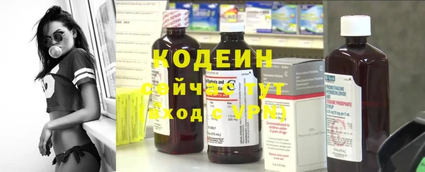 сатива Волоколамск