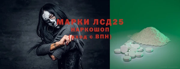 сатива Волоколамск