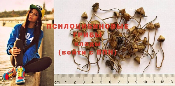 PSILOCYBIN Володарск
