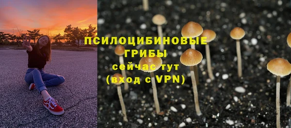 сатива Волоколамск