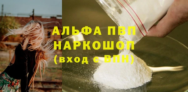 сатива Волоколамск