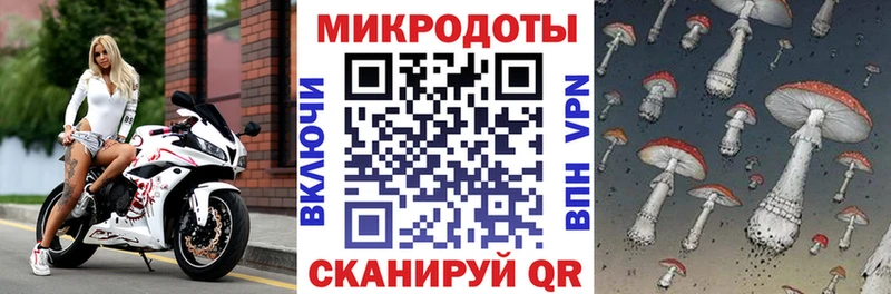 где купить наркоту Кизляр Галлюциногенные грибы Magic Shrooms